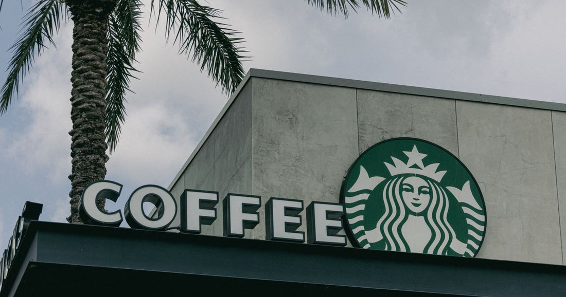 Best Coffee Companies 2026: Top 6 Ranked & Compared