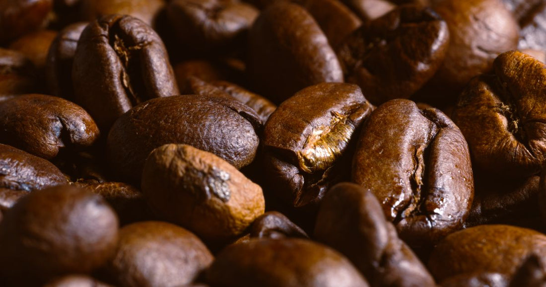 Premium Single Origin Coffee Blends: What to Know in 2026