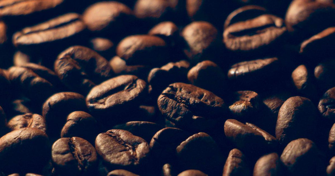 Flavored Specialty Coffee Beans: Taste Guide & Top Picks