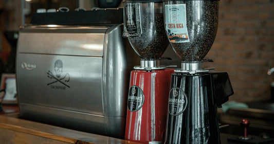 Best Coffee Grinder 2026: Top 5 Ranked