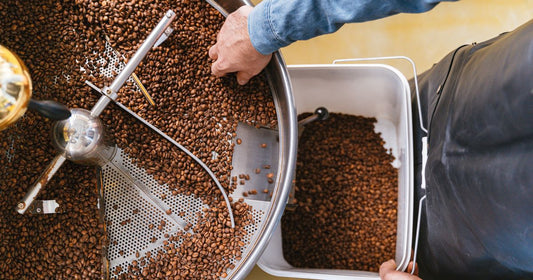 Best High Quality Coffee Shipped Fresh in 2026